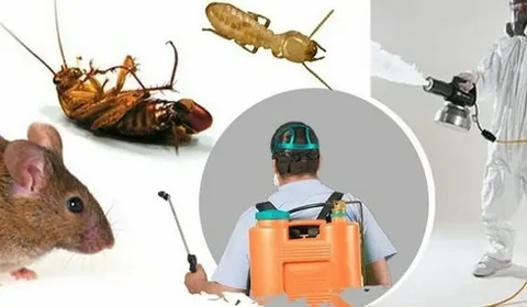 Pest control tools
